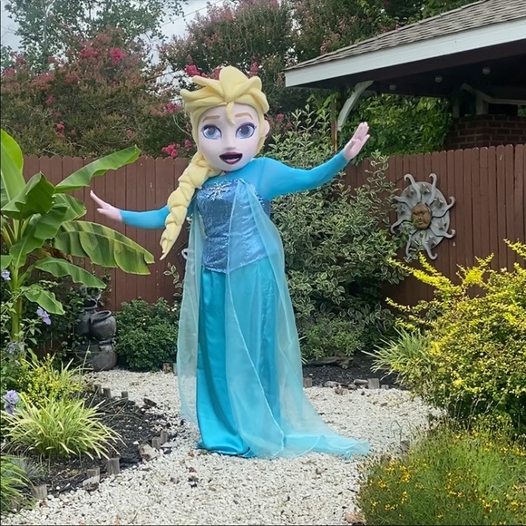 Adult costume Disney princess frozen, we can make any princess. - Picture 9 of 10